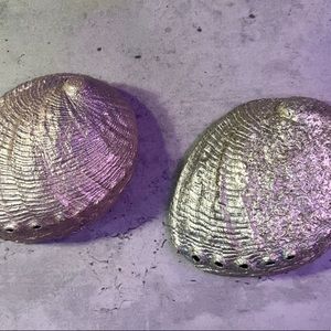 Set of 2 genuine abalone shells
